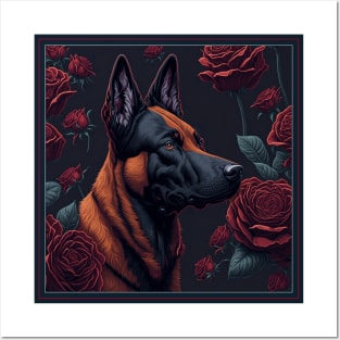 Belgian malinois red roses Posters and Art